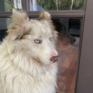 Meet your Posher, Charlotte